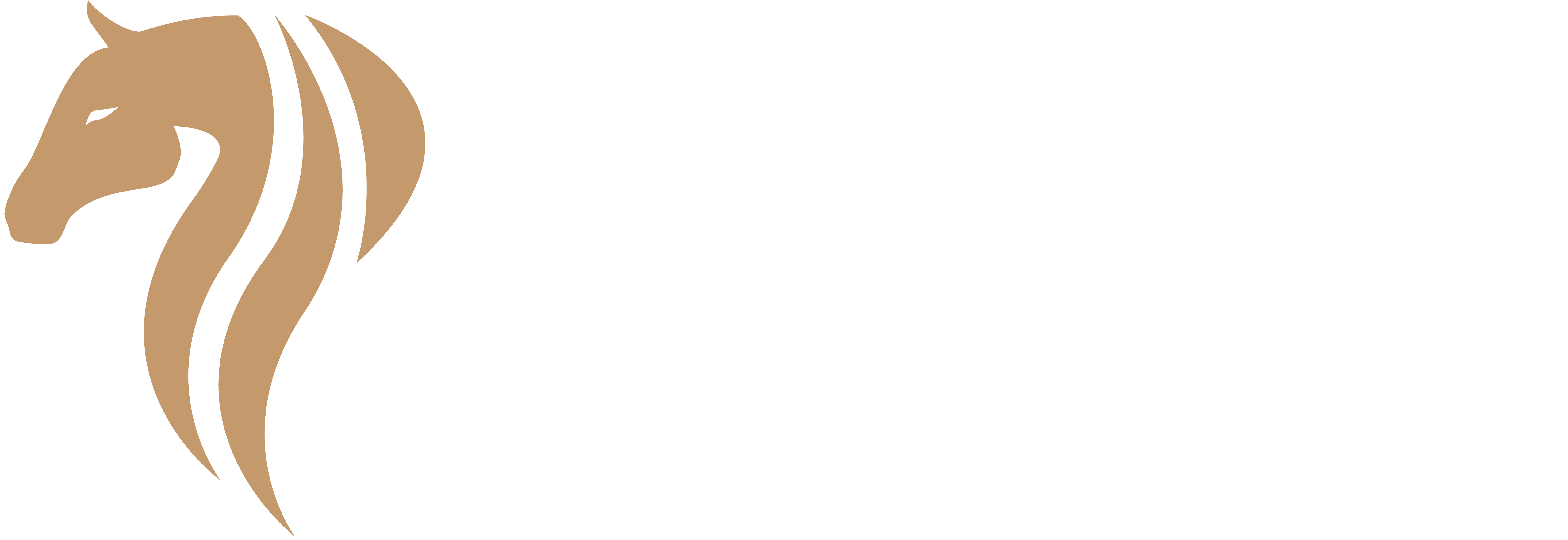 Logo Project